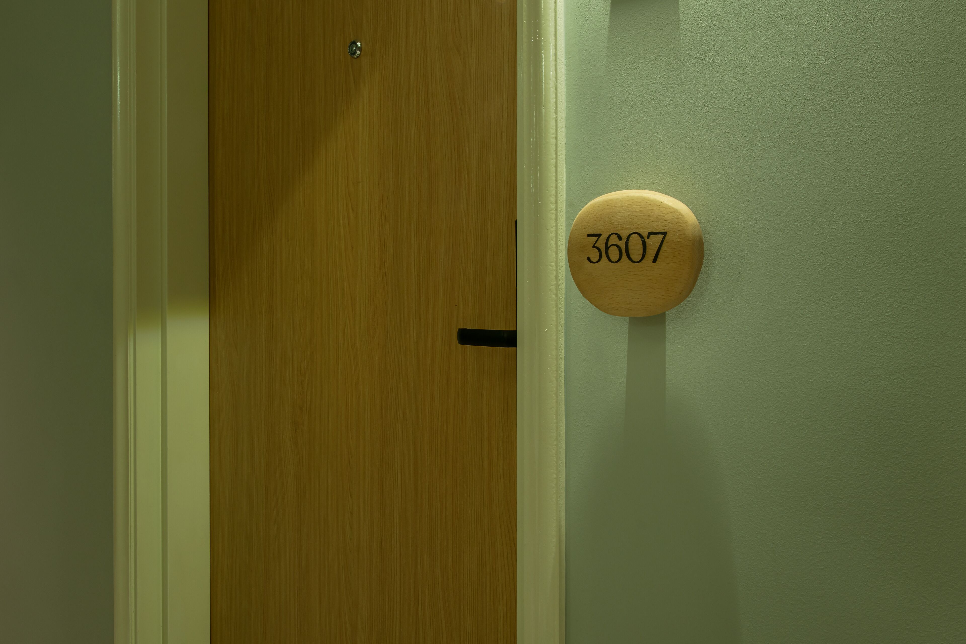 A wooden door with a number plate displaying '3607'.