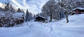 Chalet L'Aube by Interhome