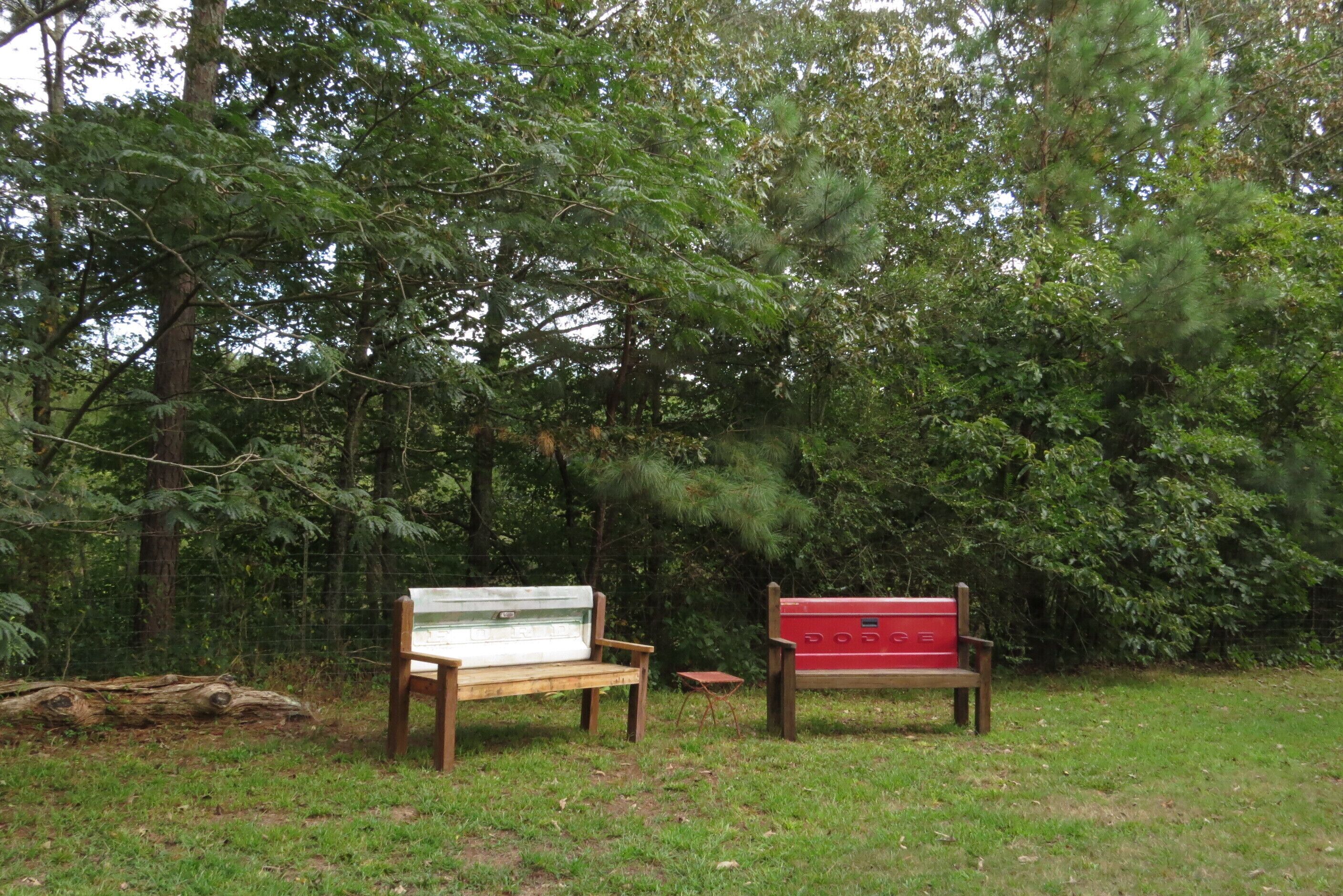 Zwei Holzbanken in einer grünen Parklandschaft, im Hintergrund dichtes Baumbestand.