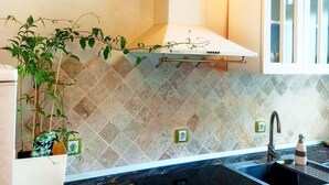 A kitchen with a black granite countertop, a stainless steel sink, and a built-in stove. There is a potted plant on the left and a wall-mounted light fixture above the cabinets. - Style, space and security in ultra central location in Brasov (Brașov)
