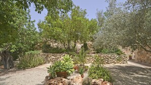 Un jardín con diversas plantas y rocas, un muro de piedra y un cielo despejado.