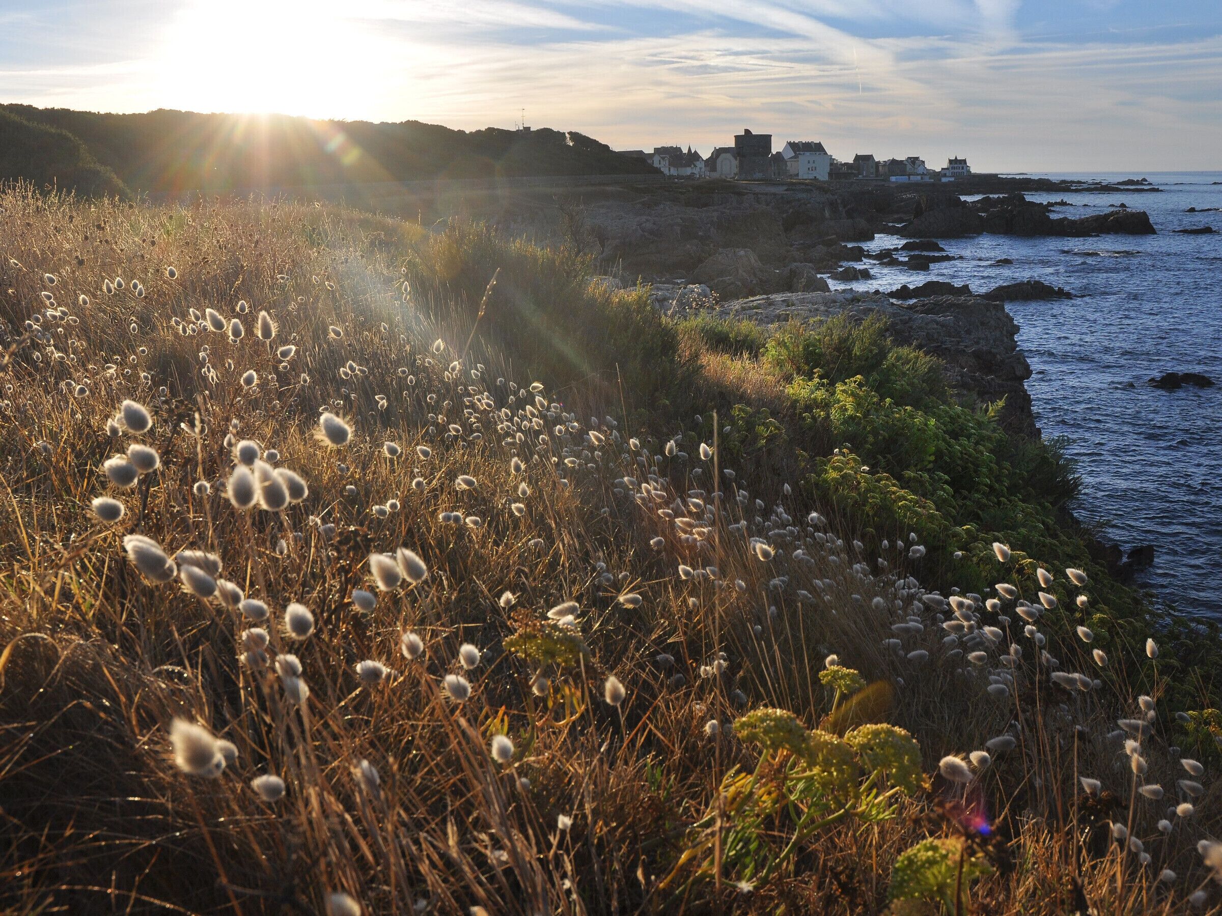 A coastal landscape with a rocky shoreline, coastal vegetation, and a distant town with buildings.