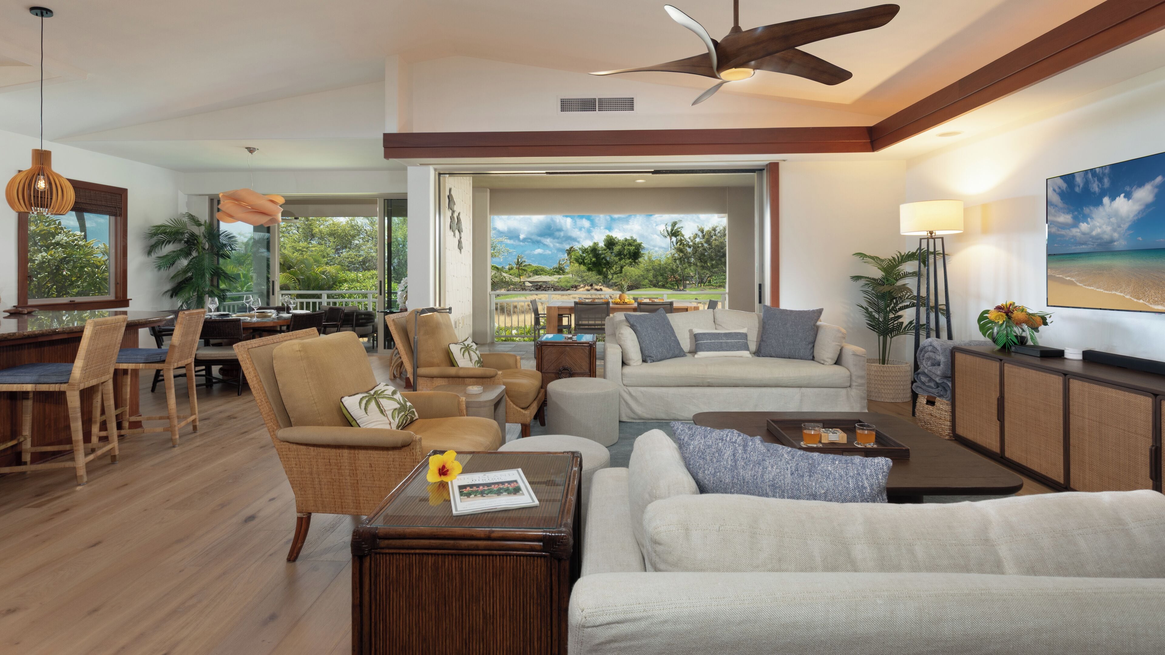 TV, books, music library, stereo