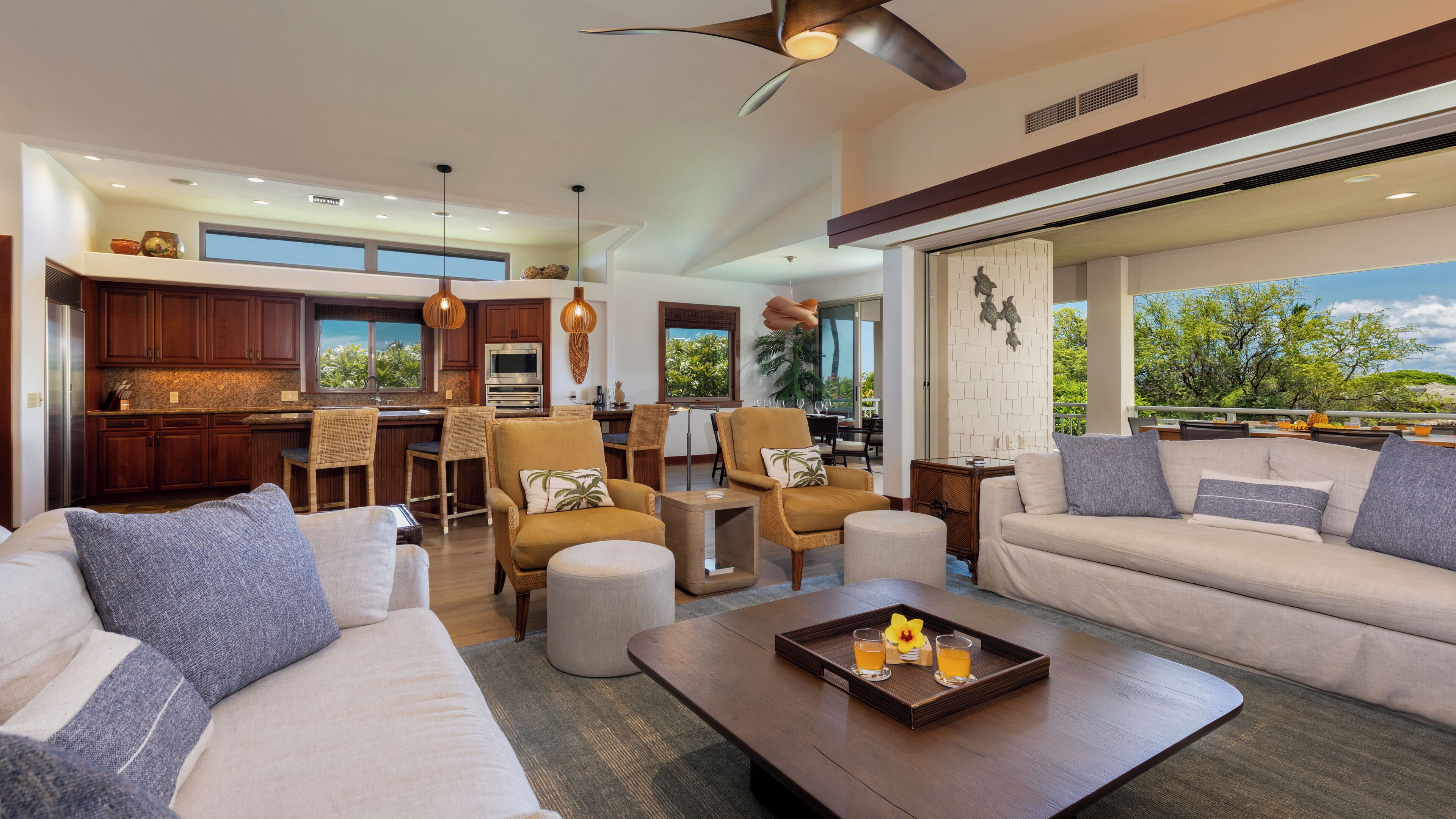 TV, books, music library, stereo