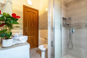 Shower, hair dryer, towels