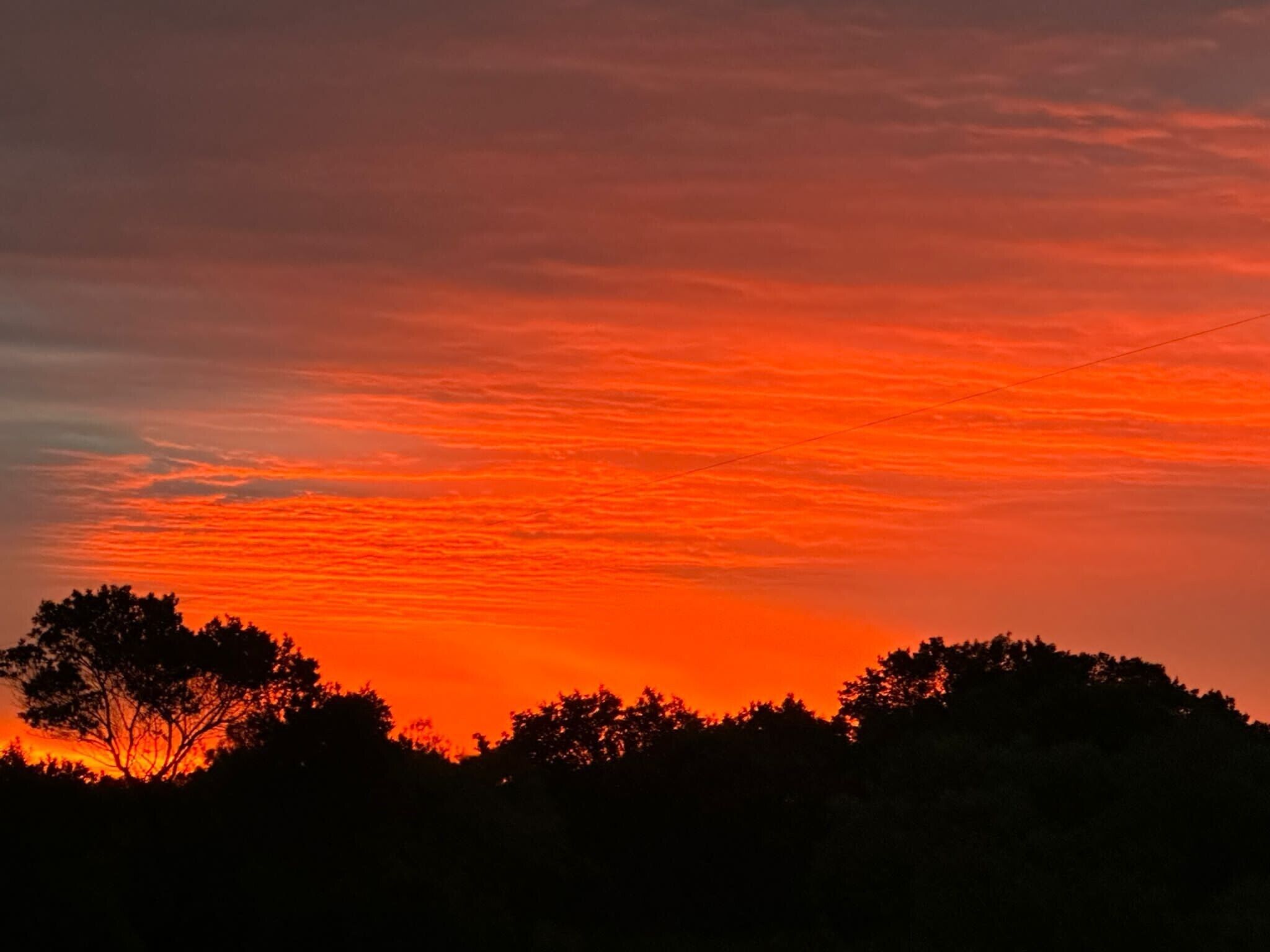 A sunset with a clear sky and silhouettes of trees.