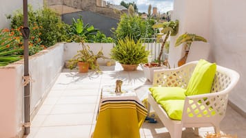 Terras