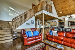 TV, fireplace, DVD player - Altitude Adjustment | Cherry Log, Ga (Cherry Log)