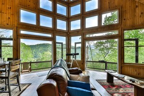 Fireplace, DVD player