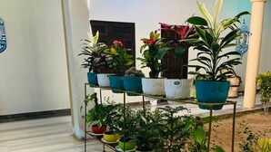 A hallway with a series of potted plants on a metal stand. - Hotel Mewad Haveli Pushkar (Pushkar)