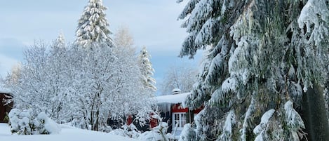 雪地及滑雪運動