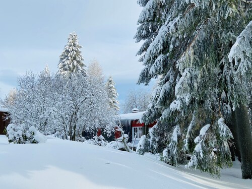 Baude Steinheid am Rennsteig - self-catering for up to 12 people