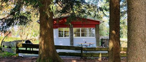 المنطقة المحيطة بالمنشأة