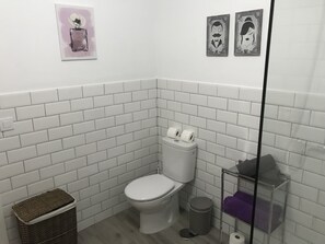 Shower, towels, toilet paper