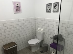 Shower, towels, toilet paper