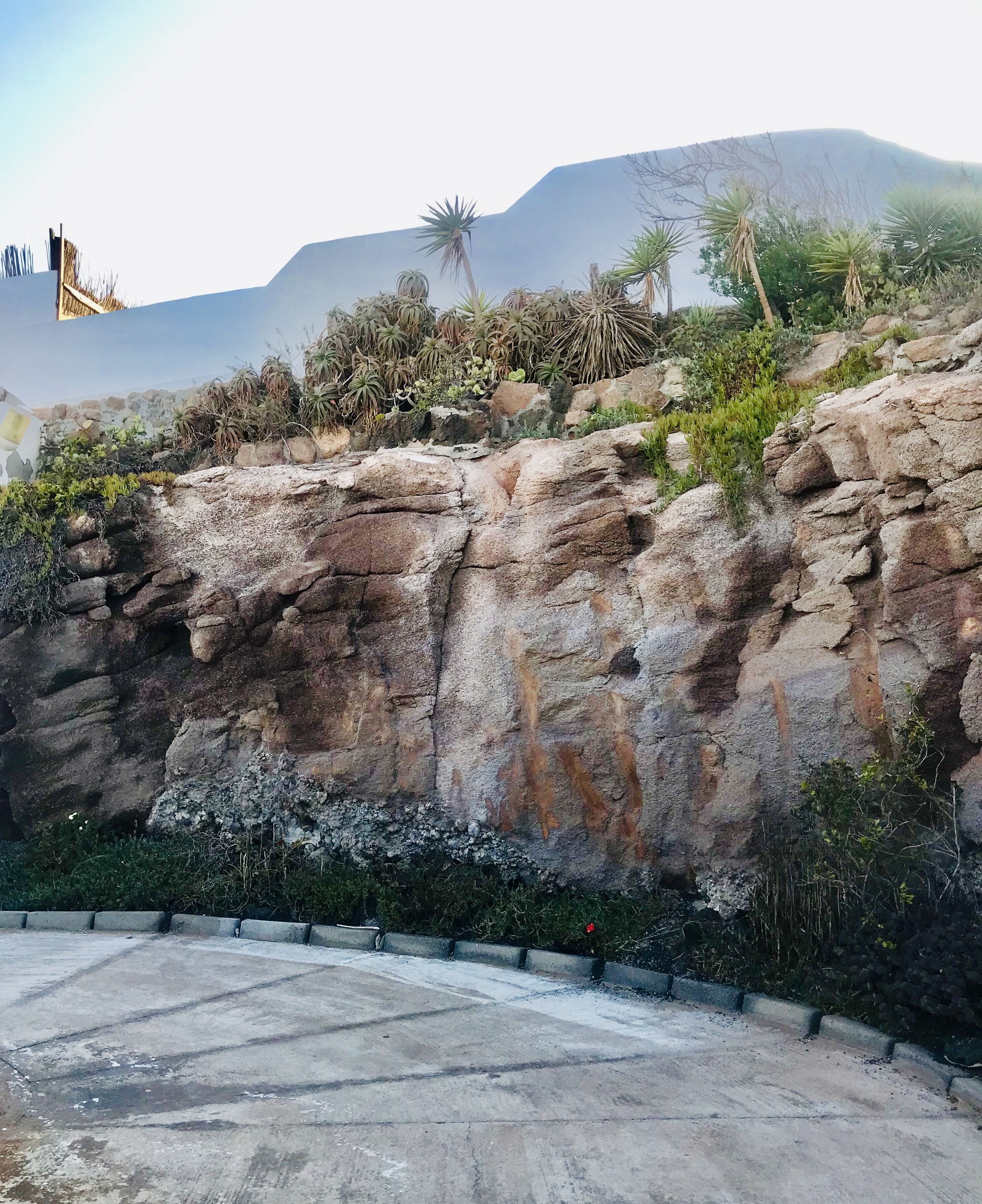 Un paysage rocheux avec un sentier en béton et une montagne en arrière-plan.