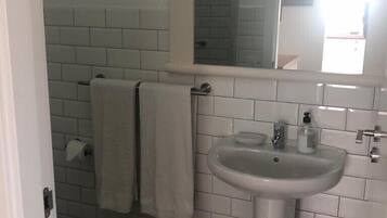 Douche, sèche-cheveux, serviettes fournies, papier toilette