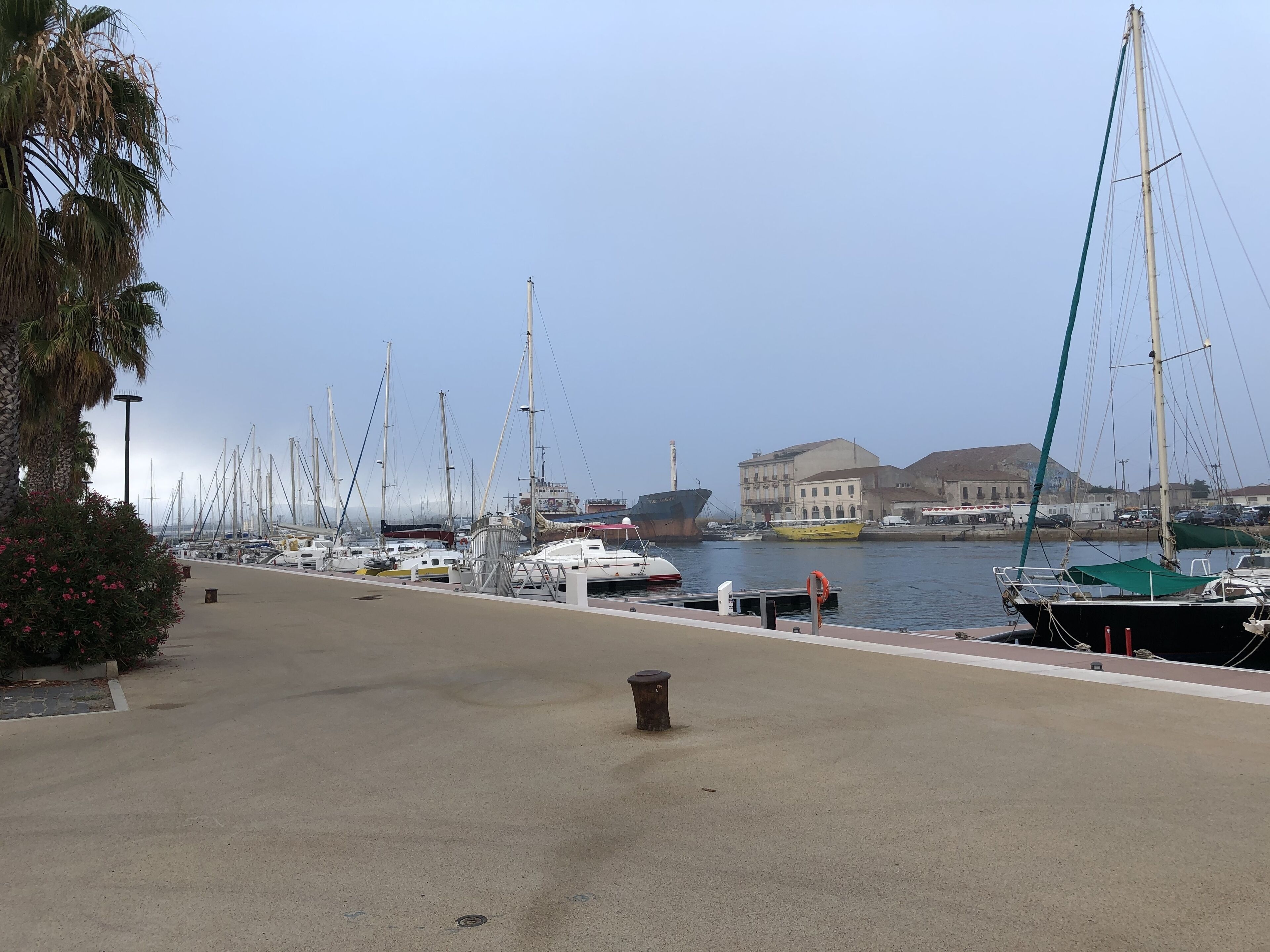 En småbåtshamn med flera segelbåtar förtöjda, en klar himmel och byggnader i bakgrunden.