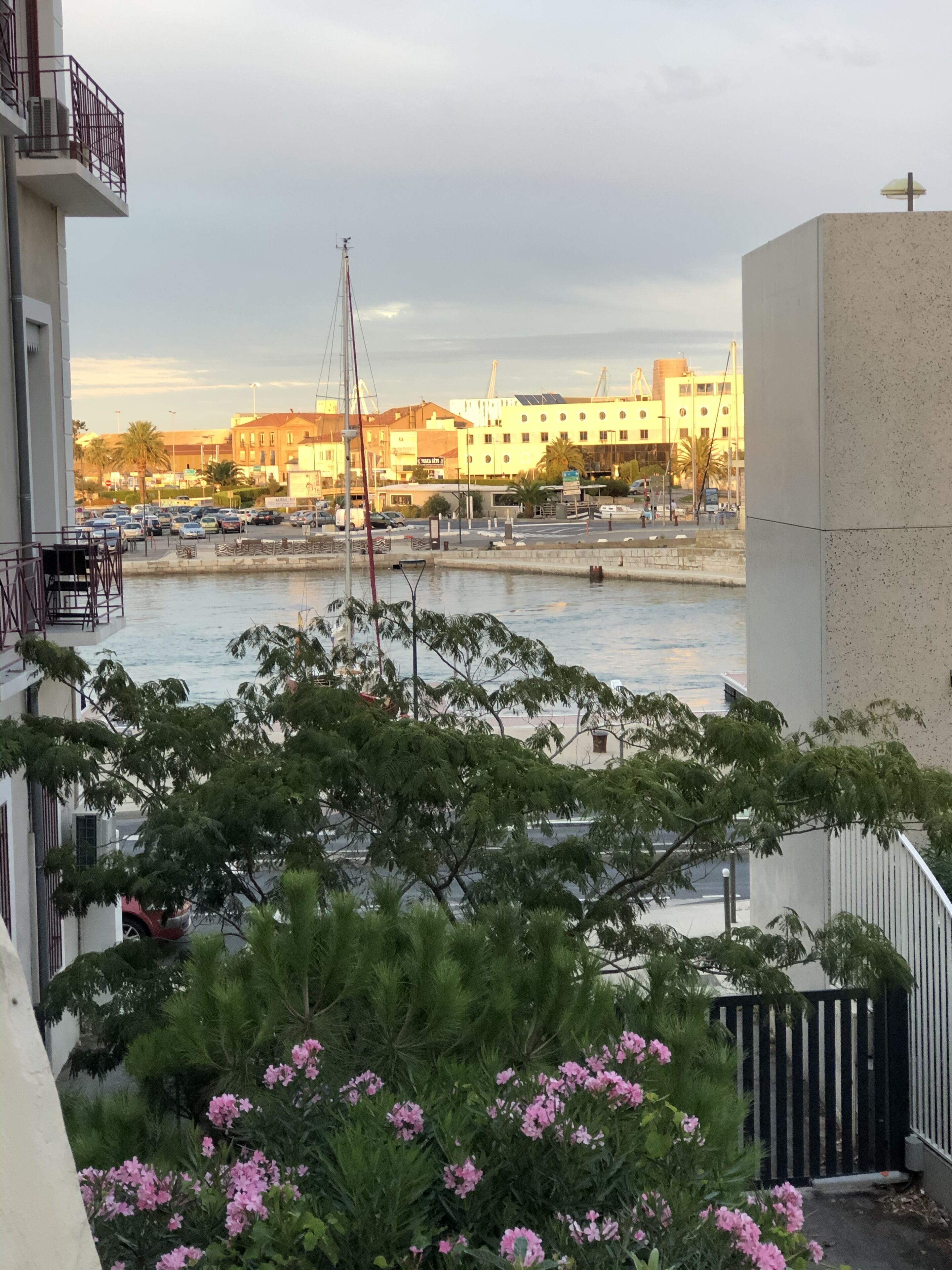 Une vue d’une marina avec des bateaux, un immeuble doté de balcons et un ciel dégagé.