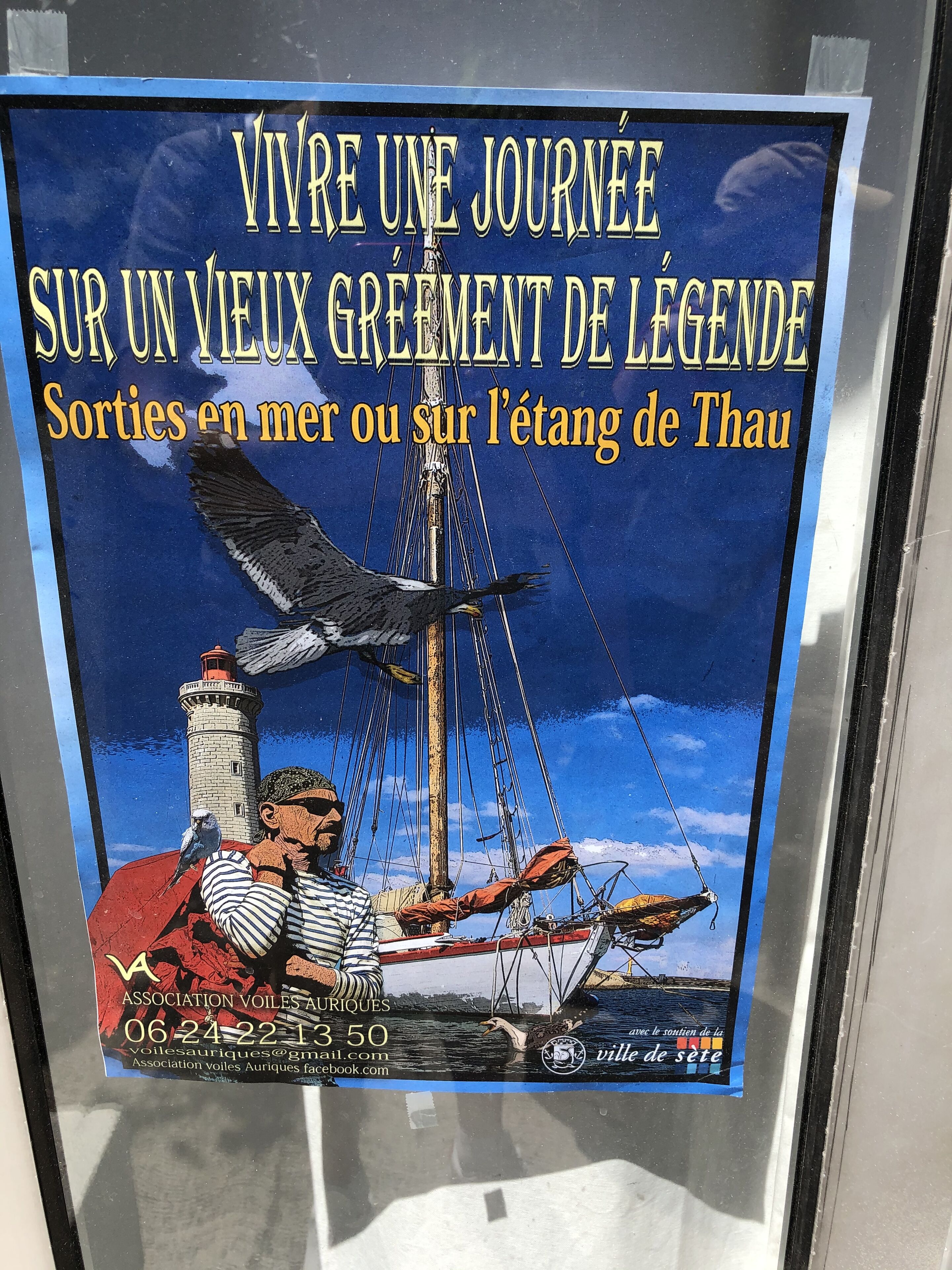 Ein Plakat, das einen Segeltag auf einem legendären Schiff bewirbt, mit Kontaktdaten und einer Website-URL.