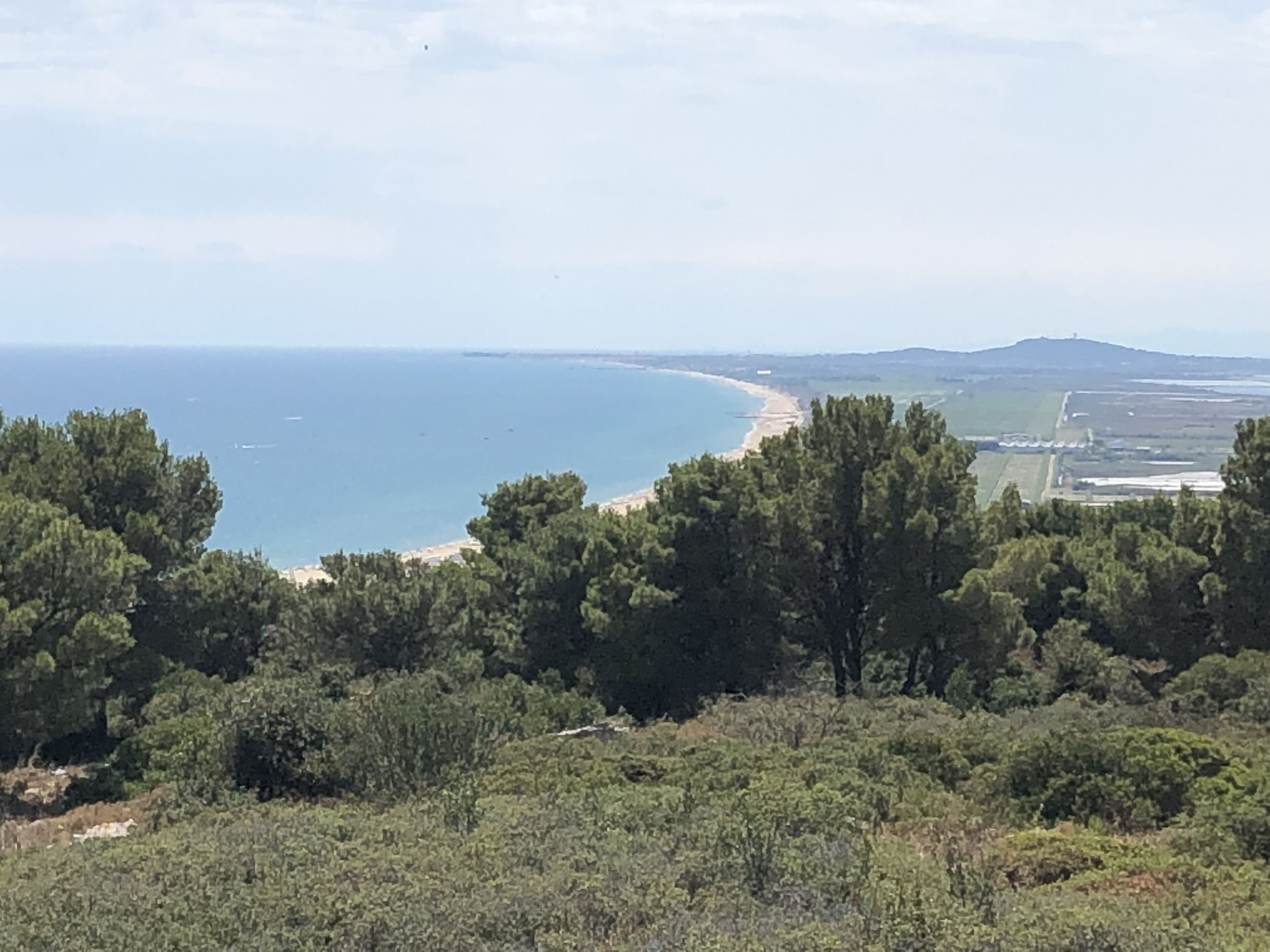 A coastal landscape with dense greenery in the foreground and a beach with a clear view of the sea and distant hills.
