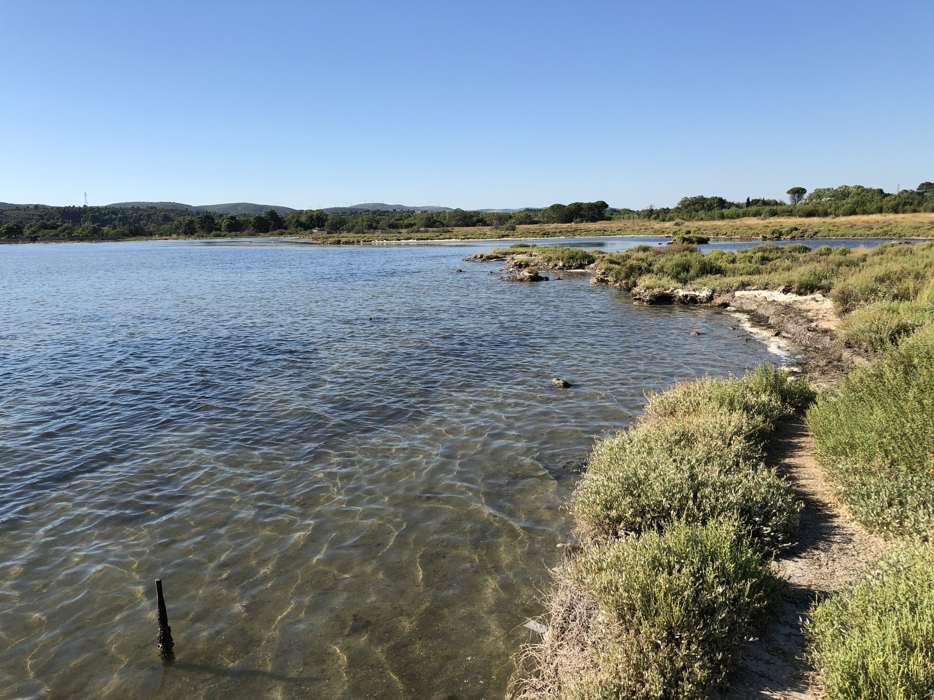A riverbank with clear water, grassy banks, and distant hills.