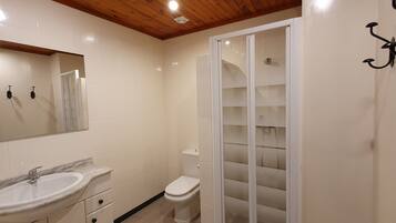Een badkamer met een wastafel, spiegel, toilet en een douchecabine met glazen wanden.
