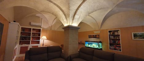 TV, fireplace, DVD player, books