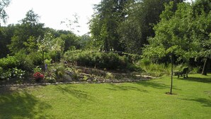 Un giardino curato con prato verde, un piccolo albero e diverse piante e fiori.