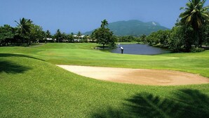 Un campo da golf con una zona umida, palme e una montagna sullo sfondo.