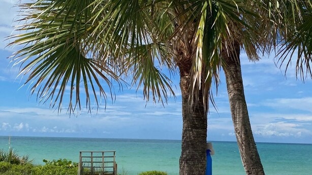 A beach scene with a palm tree, a wooden structure, and a clear view of the ocean. - Bayshore Beach House - Walk to Nokomis Beach!  Close to Siesta Key, Venice Beach (Nokomis)