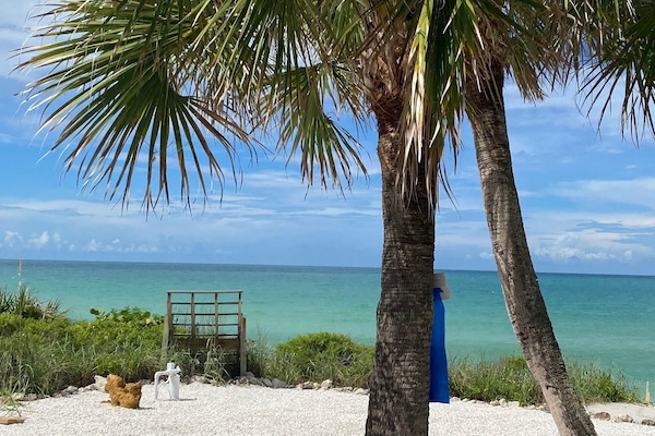 Una spiaggia nelle vicinanze, lettini da mare, teli da spiaggia