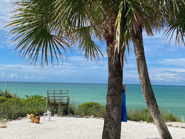 Beach nearby, sun-loungers, beach towels