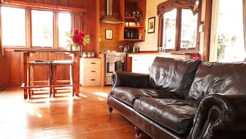 Smart TV, fireplace, DVD player, books