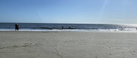 On the beach, sun-loungers