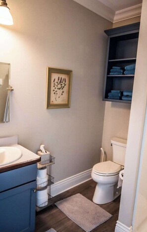 A bathroom with a toilet, a sink, a framed botanical print on the wall, and a shelf with folded towels. - Studio near Kettle Moraine Forest-hikers paradise! (Kewaskum)