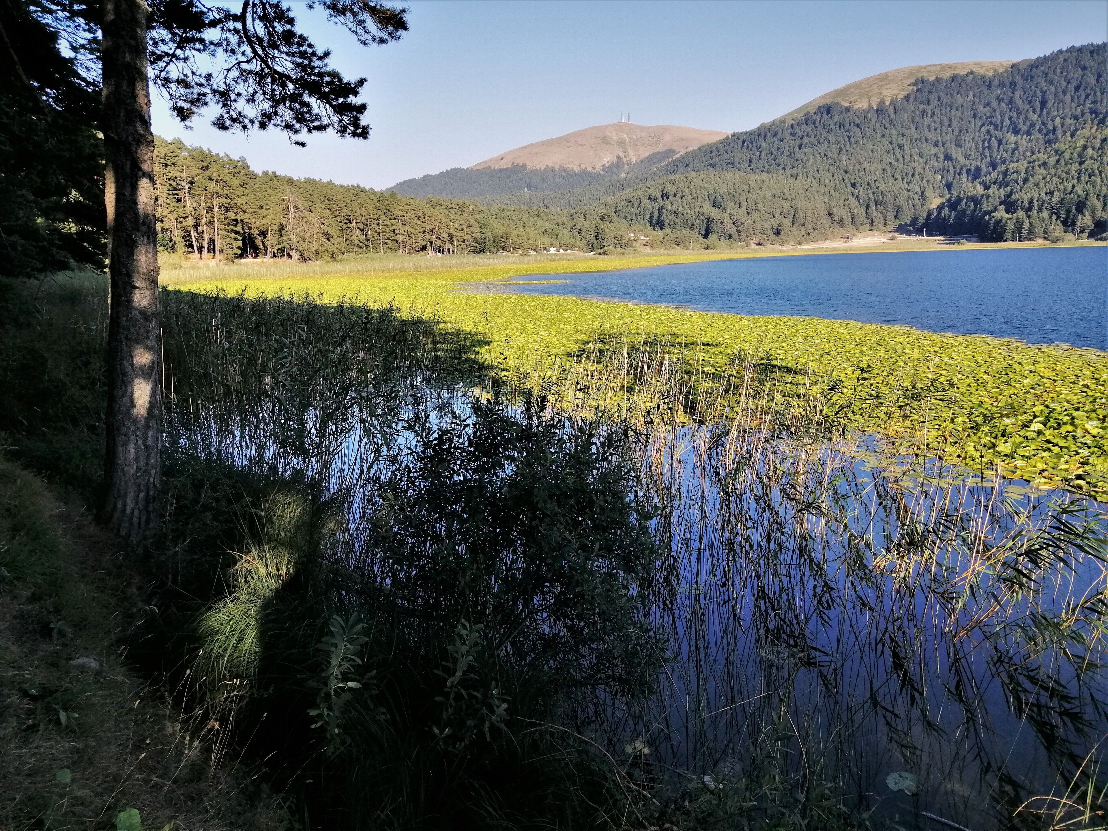 A lake surrounded by dense forest and hills.