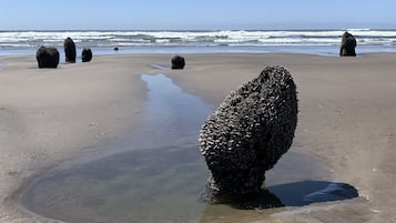 海滩