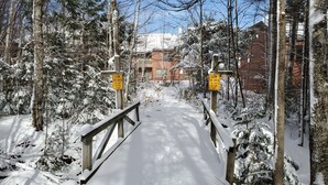 Uklassifisert bilde, 5 av 21, knapp