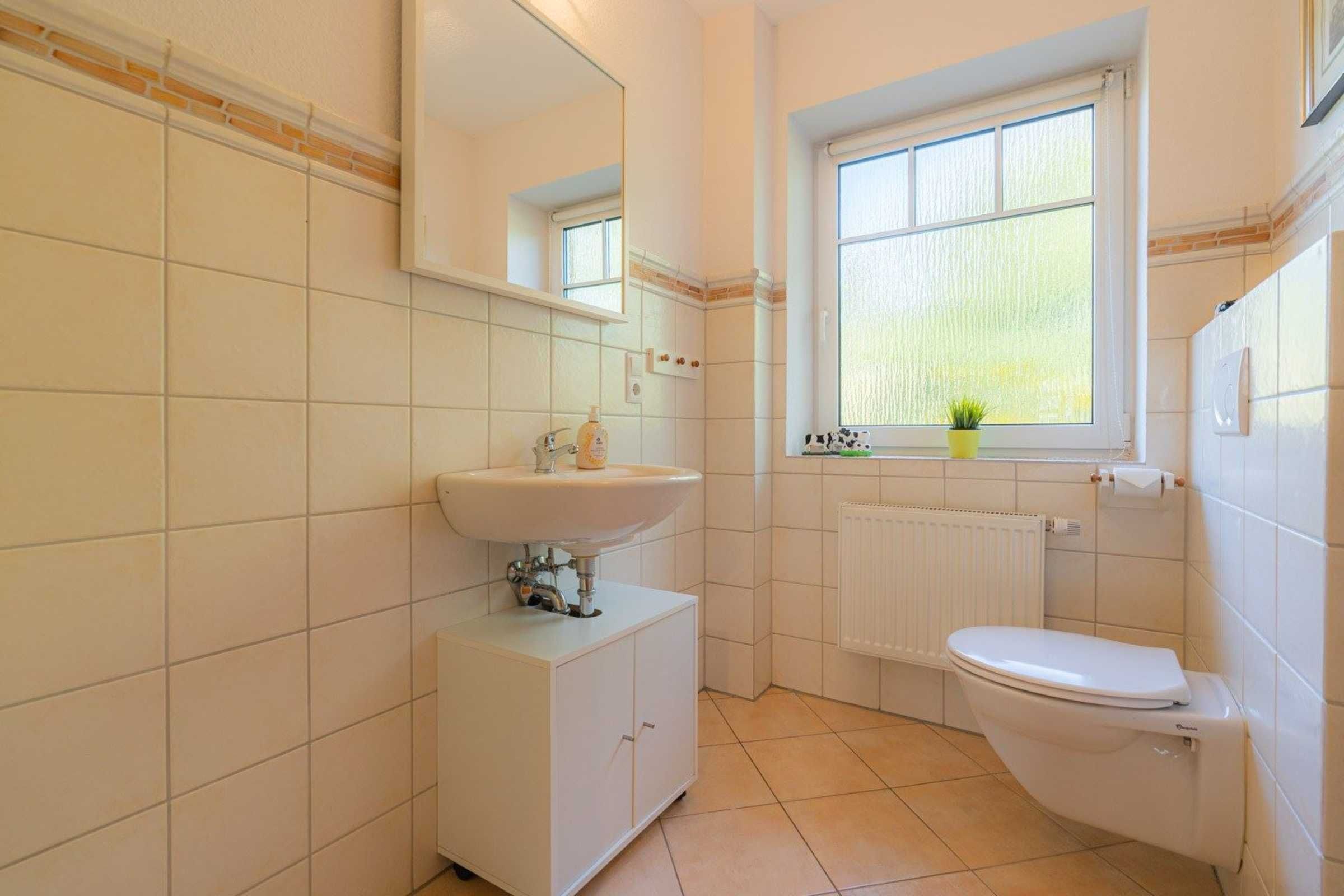 Ein Badezimmer mit weißem Waschbecken, Toilette, einem Fenster mit Pflanze und einem Heizkörper.