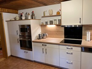 Fridge, microwave, oven, dishwasher - Ferienwohnung Rustika I - Rustika I (Schieder-Schwalenberg)