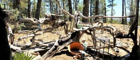 Property grounds