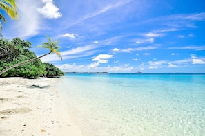 A beach with clear turquoise water, palm trees, and a distant island. - Luxe Modern & Private Coastal Getaway! (Fort Myers)