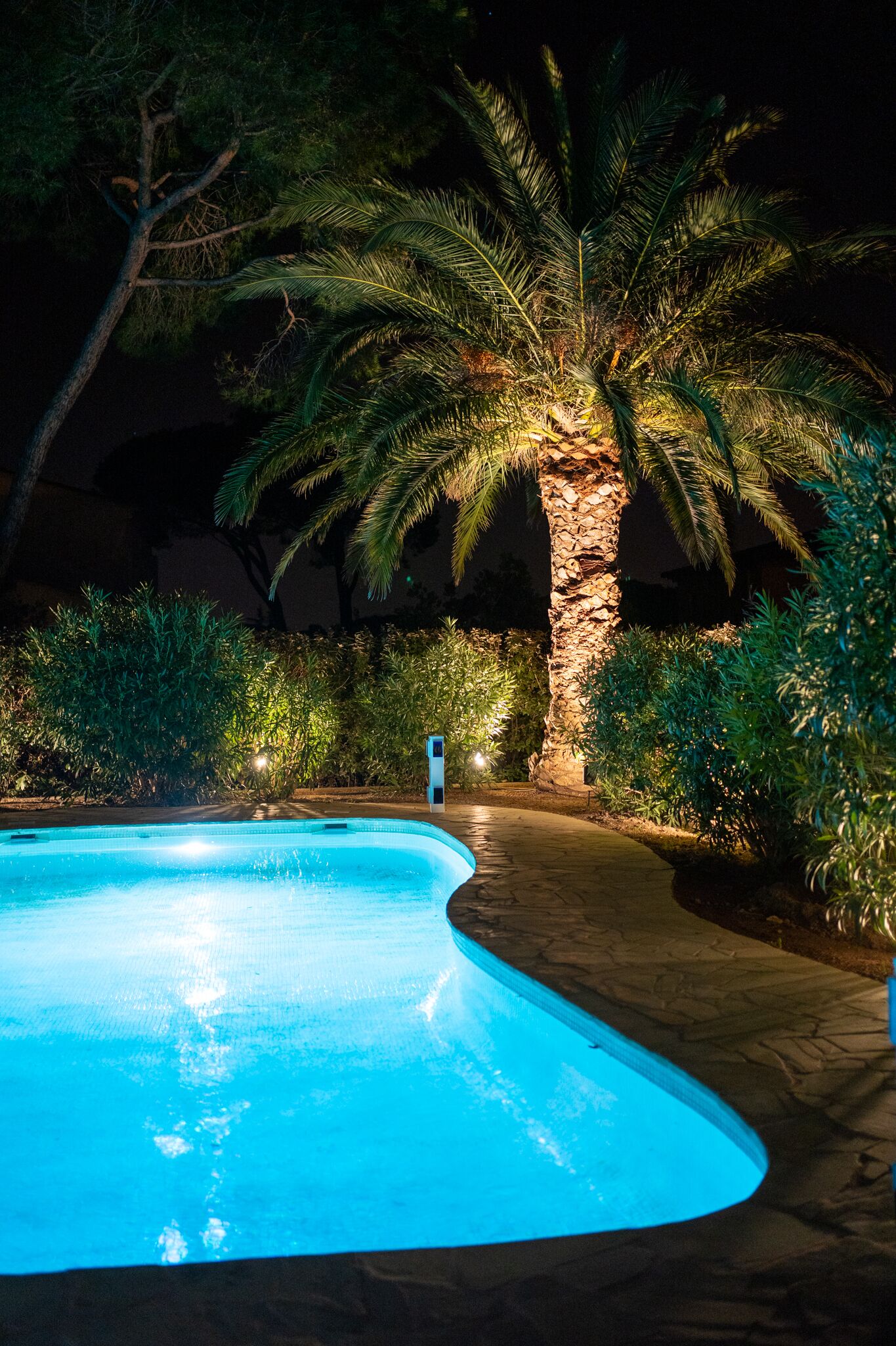 extérieur : espace piscine 
de nuit
