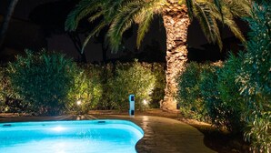 A swimming pool surrounded by tropical vegetation and a stone pillar.