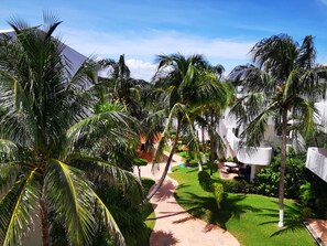 Stroll through the serene garden, surrounded by lush palm trees and vibrant greenery, along a paved pathway to a cozy seating area.