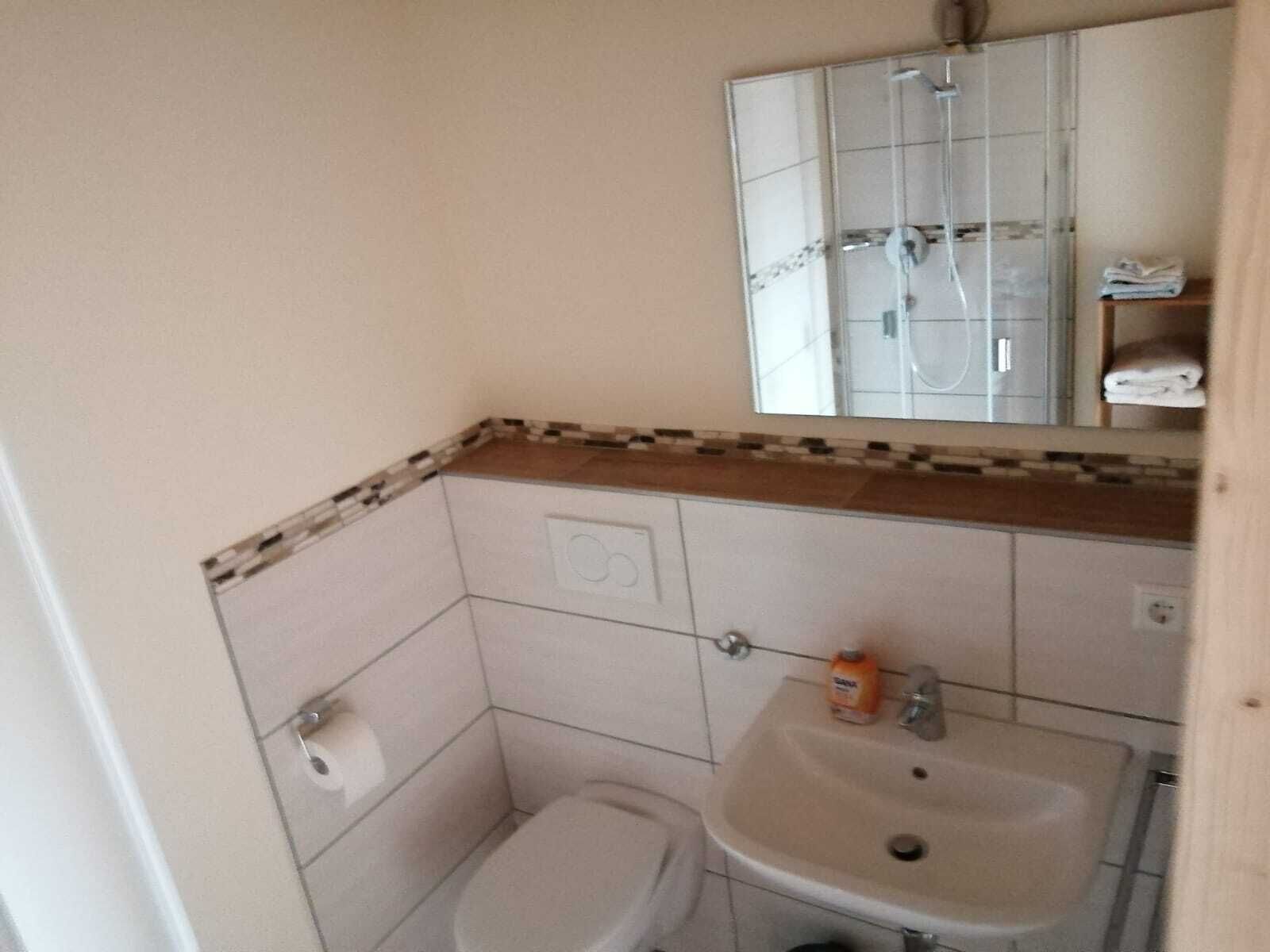 Een kleine badkamer met toilet, wastafel en spiegel.