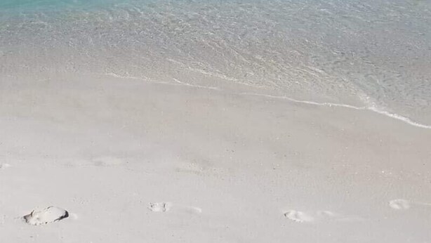 Een strand met helder turquoise water en een zandstrand.