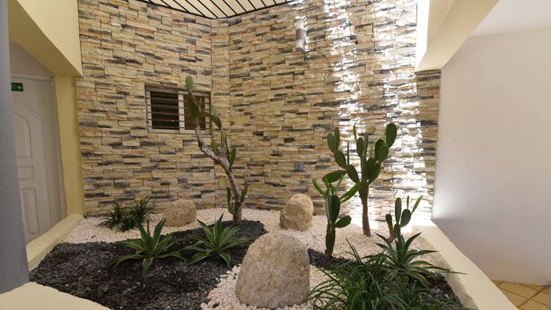 A courtyard with a stone wall, various plants, and a small window.