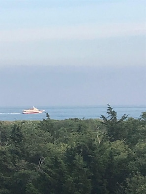 Un bote sobre el agua, con un área boscosa al frente.